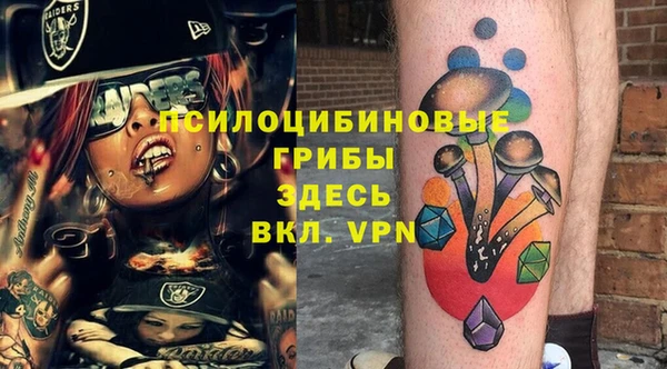 индика Алексин